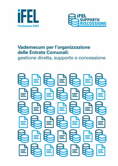Vademecum per l&rsquo;organizzazione delle Entrate Comunali: gestione diretta, supporto e concessione